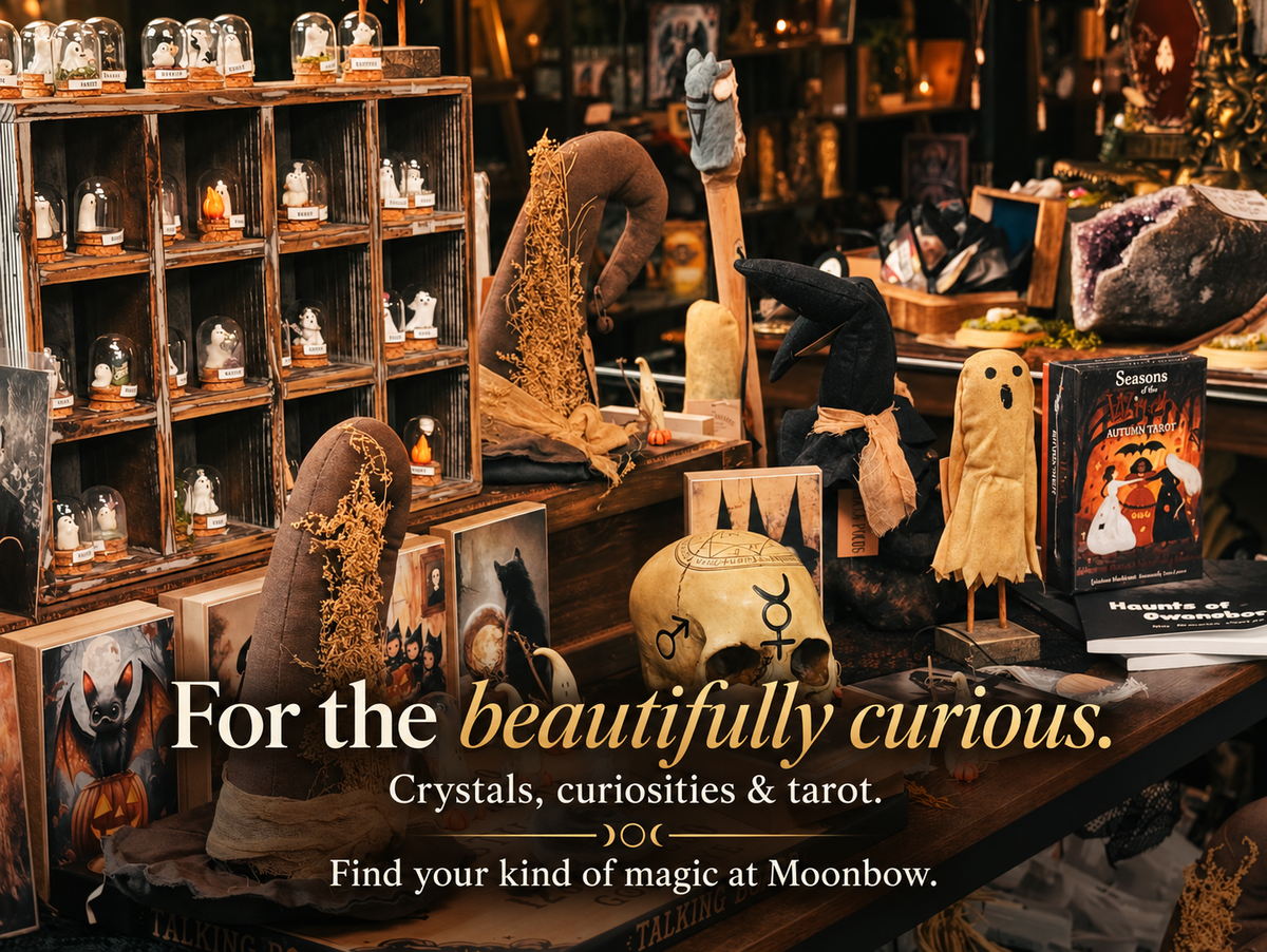 Moonbow shelves filled with crystals and curiosities